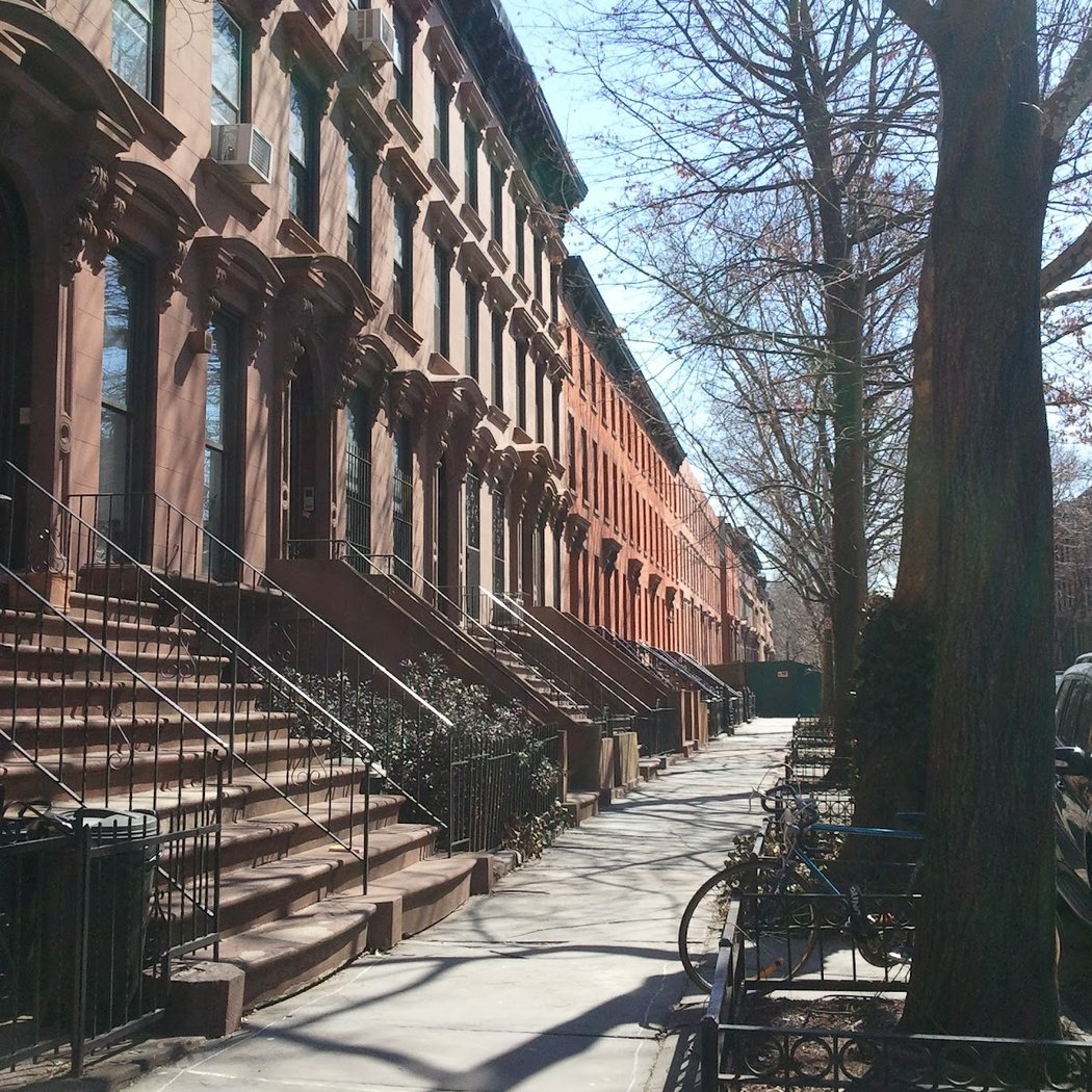Black History And Culture Tour Of Fort Greene 2