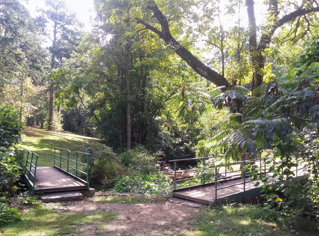 Tree Tour: Connection and Community in Sylvan Hills and Capitol View 1