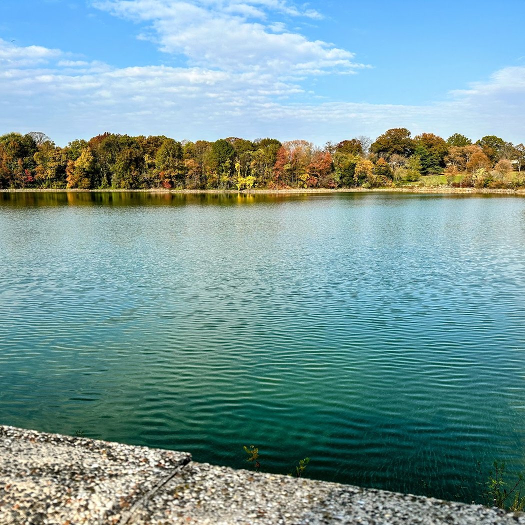 Silver Lake Dog Run 2