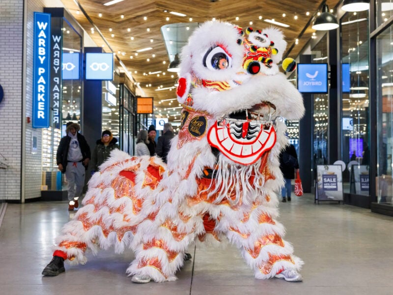 Lunar New Year Celebration 2