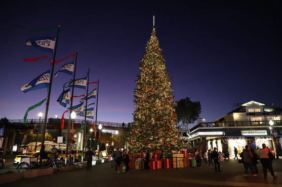 PIER 39's Dazzling 60' Tree Lighting Show 1