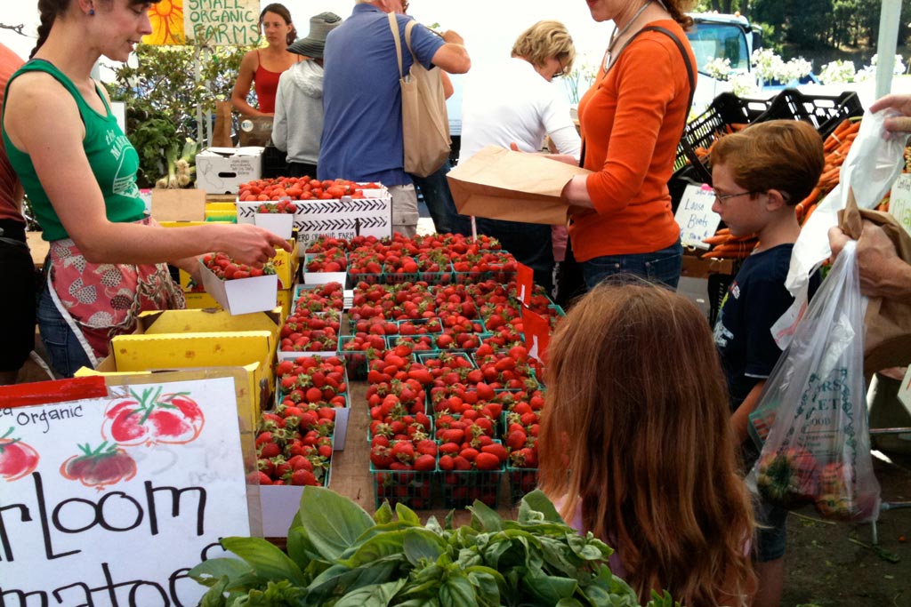 Sunday Marin Farmers Market