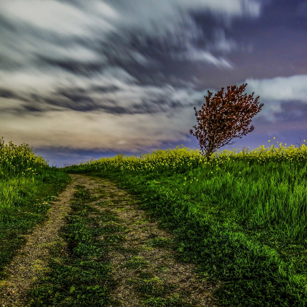 Hiking Trail 1