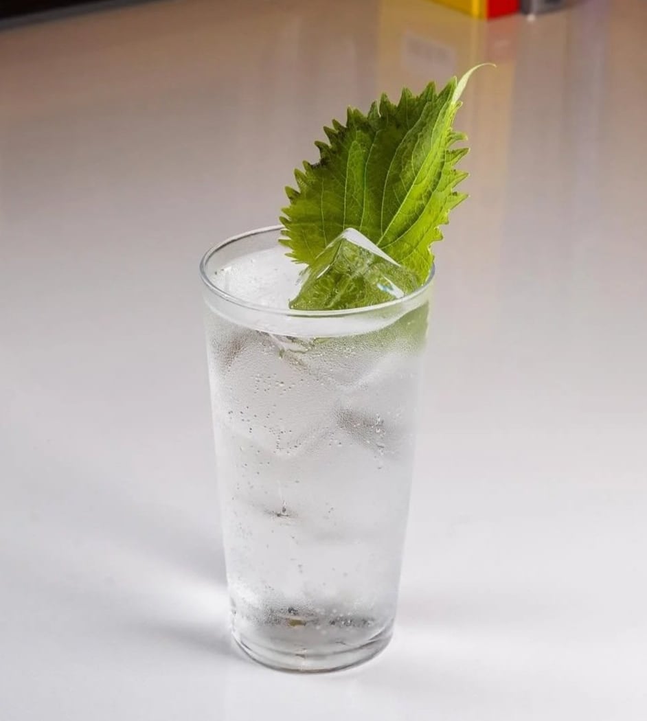 Summer Inspired Highball Class 2