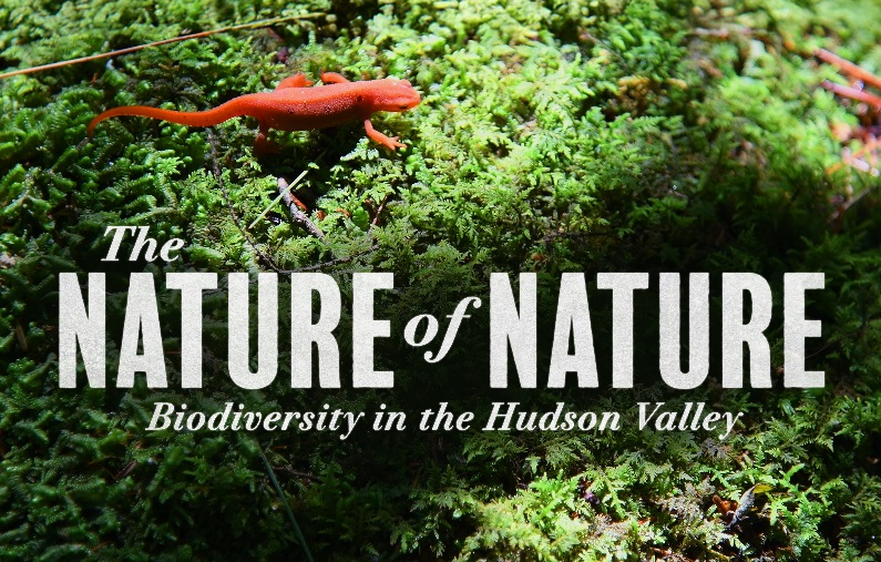 Nature of Nature: Biodiversity in the Hudson Valley 1