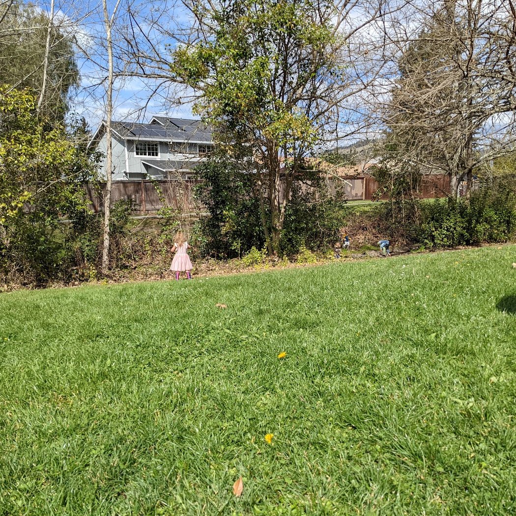 Tanglewood Park 3