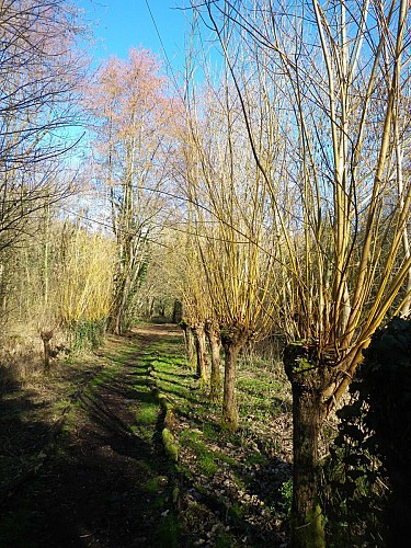 départemental des courtils des Mauves Natural Park 2