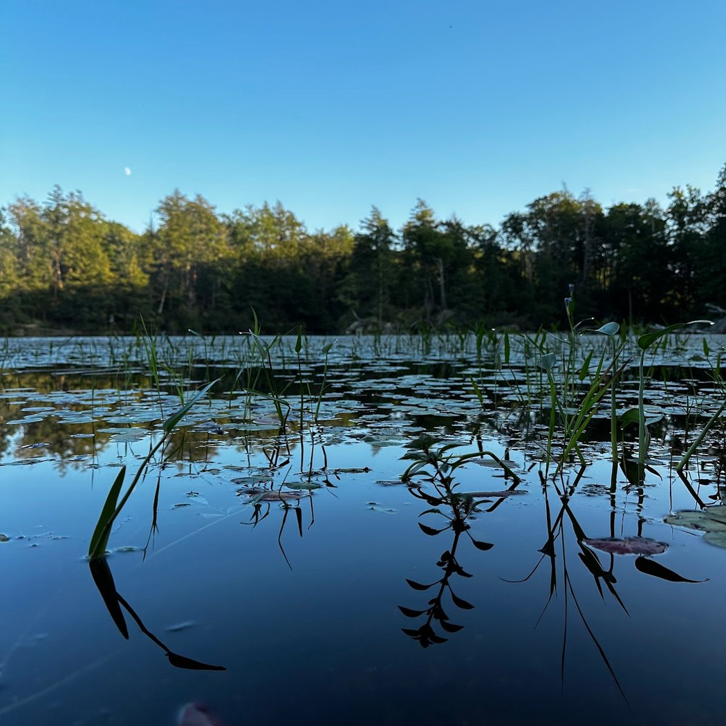 Pelton Pond 3