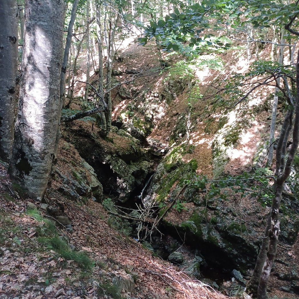 Cascades de l'Hérault 3