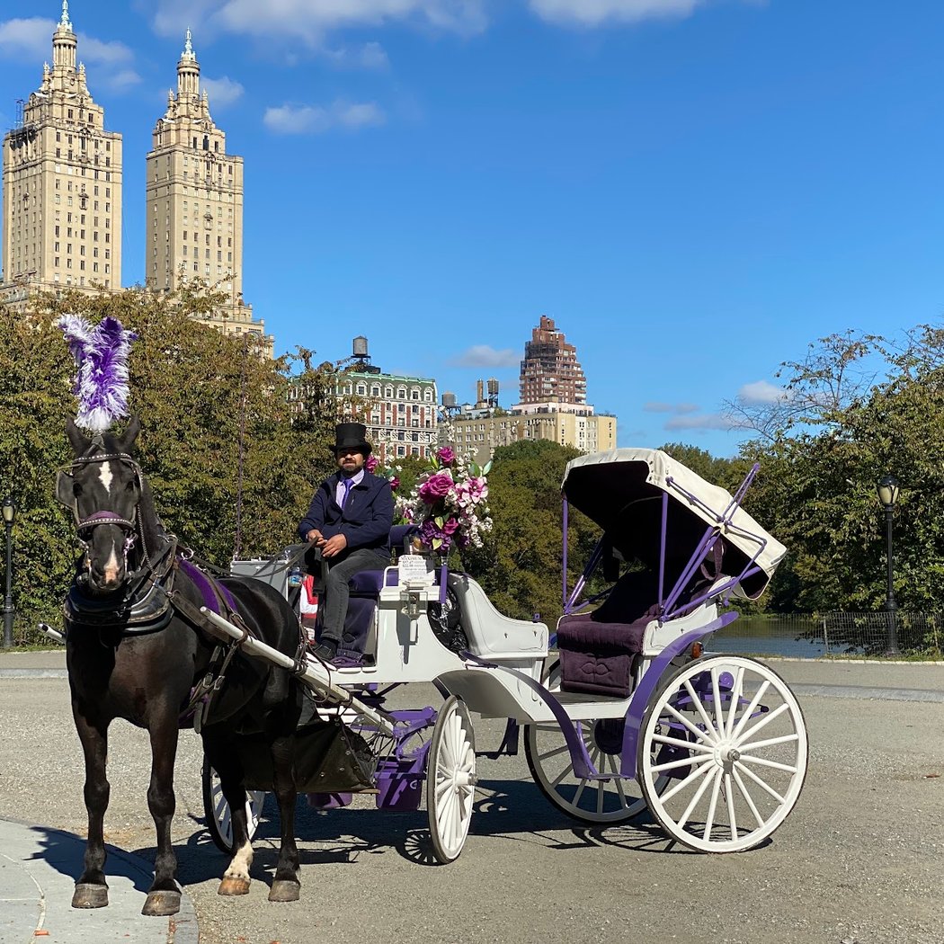 NYC Central Park Horse Carriage Rides since 1858 2