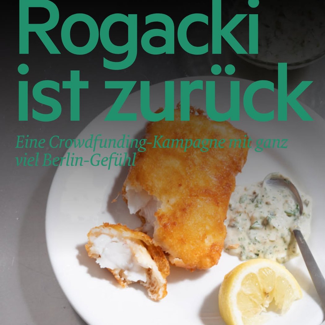 Rogacki 1