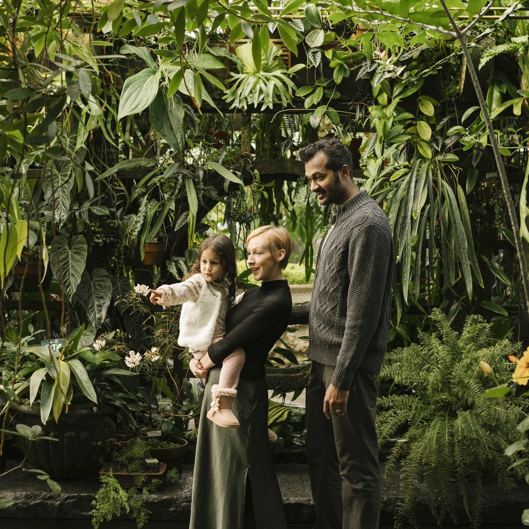 Free Day: Conservatory of Flowers 1
