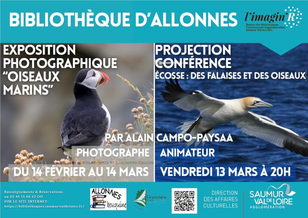 Exposition Photos "Oiseaux marins" et Projection/Conférence 1