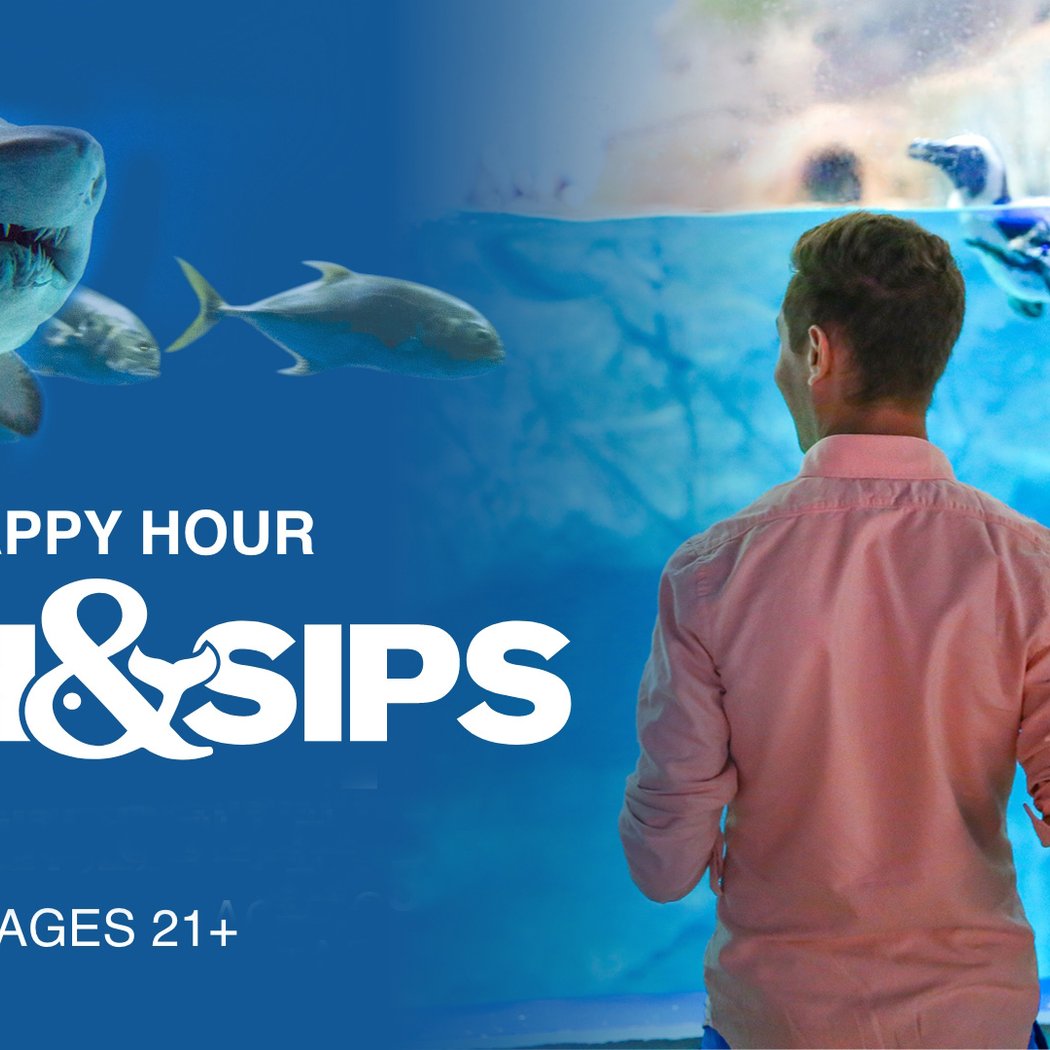 Fish & Sips 1