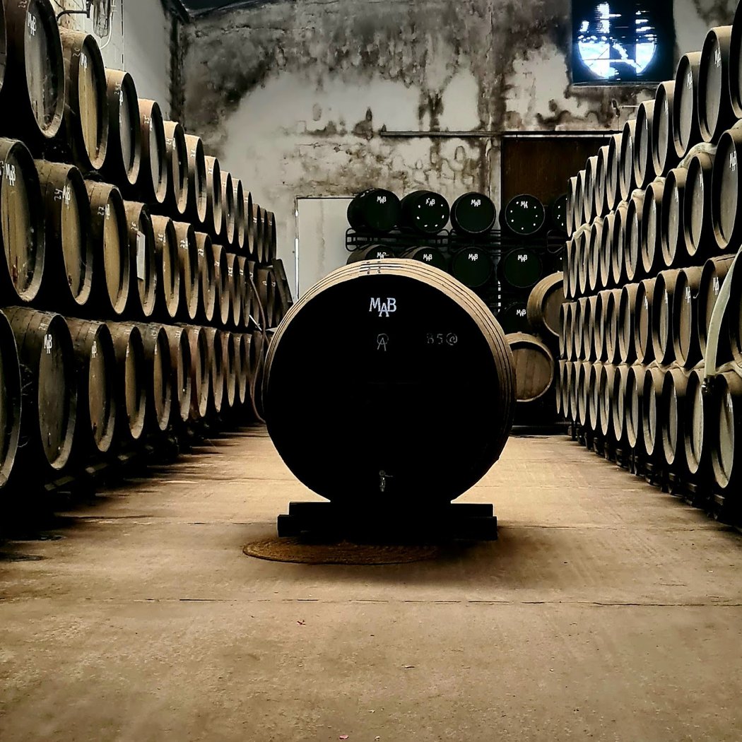Bodega Manuel Aragón S.L. 3