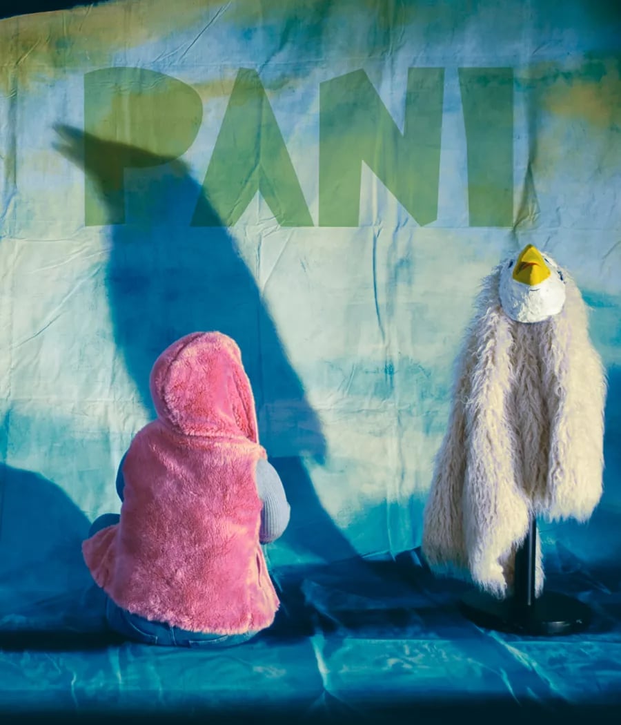 PANI 1
