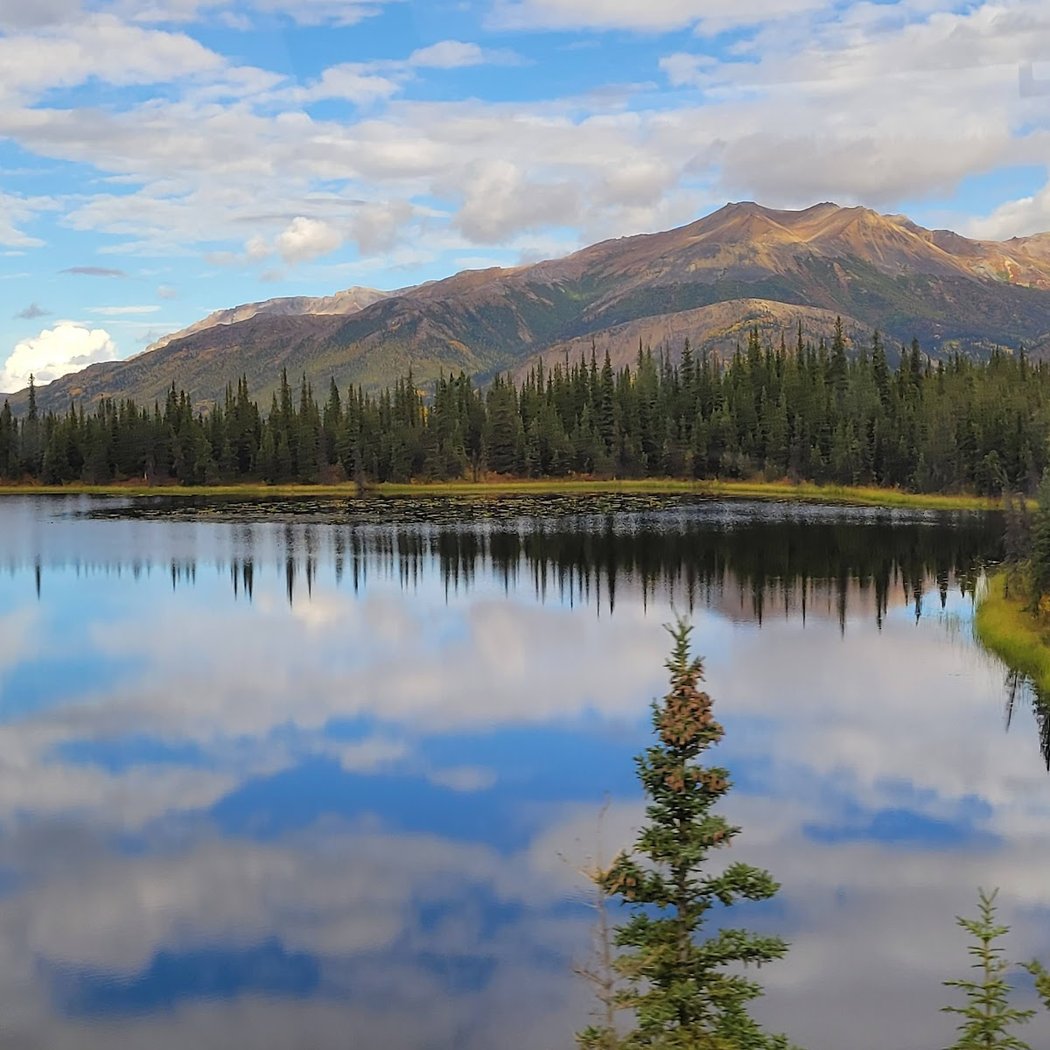 Denali National Park and Preserve 3