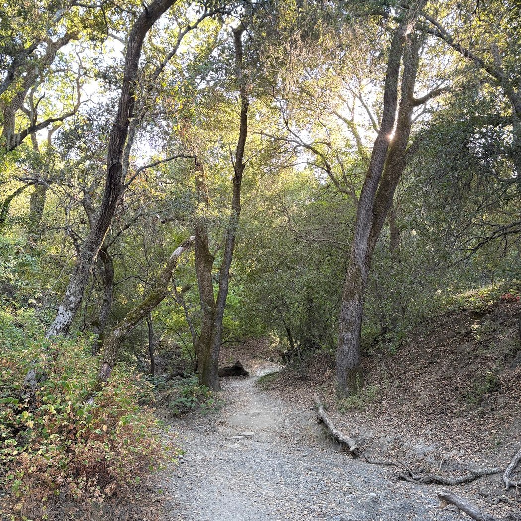 Bishop Ranch Regional Open Space 2