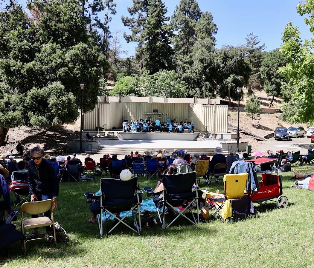Summer outdoor concerts 2