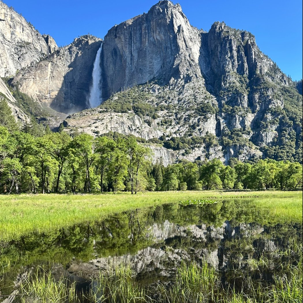 Cook's Meadow Loop 1