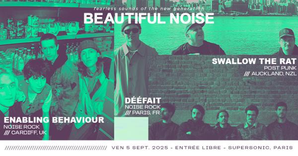 Beautiful Noise: Swallow The Rat + Enabling Behaviour + Dééfait 1