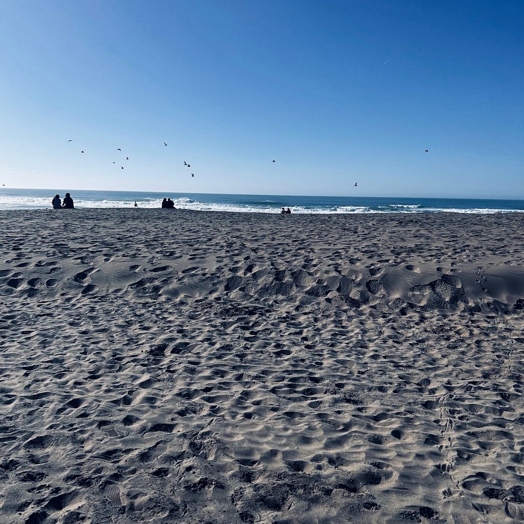 SF’s Free “Sundays at the Beach” Tai Chi Day 5