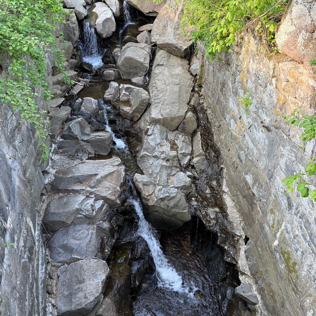 Alapocas Run State Park 3