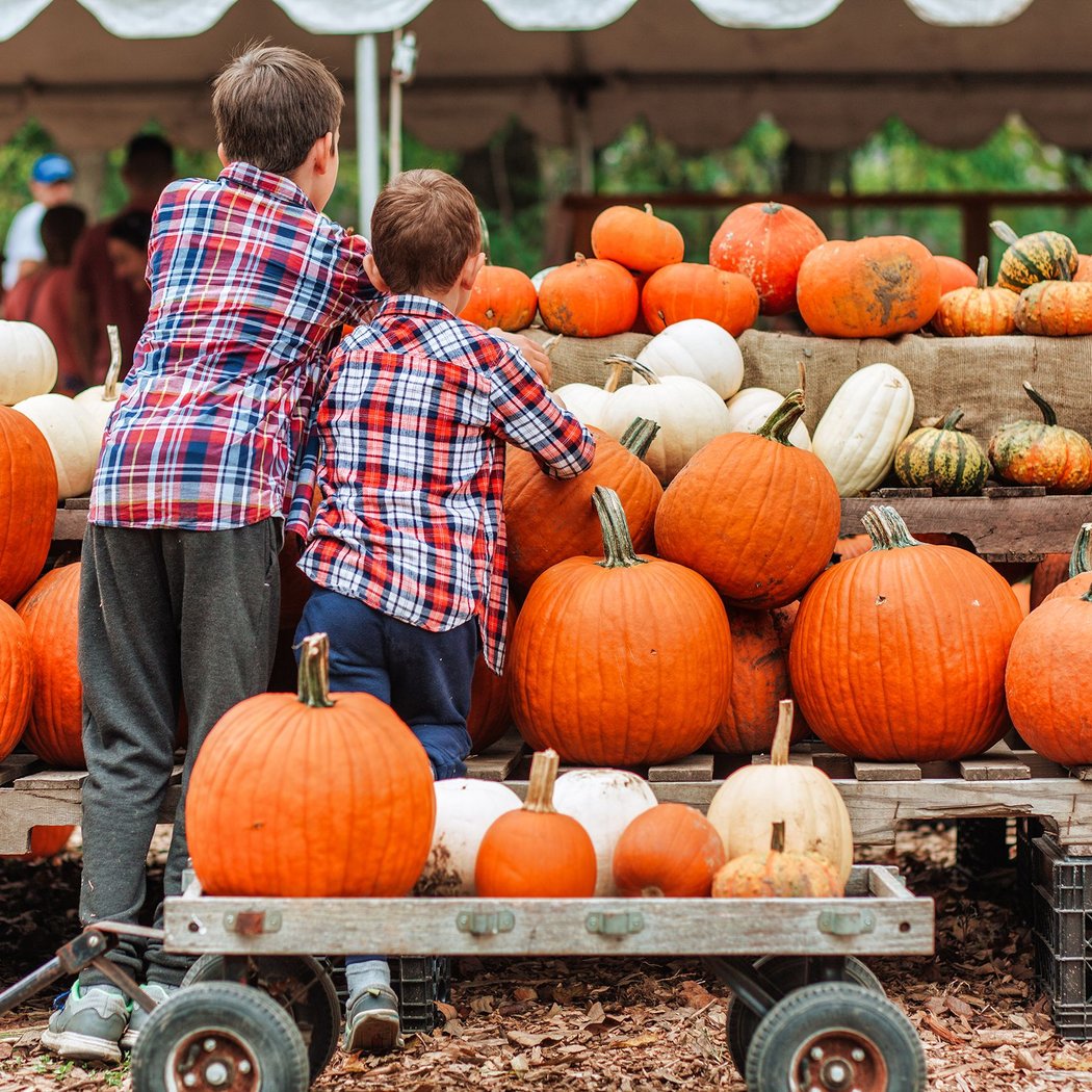 Fall Festival Weekend 2