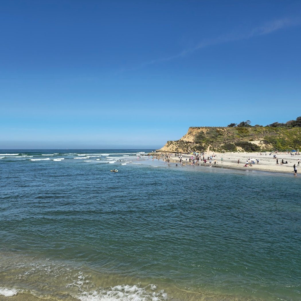 Del Mar Dog Beach 2