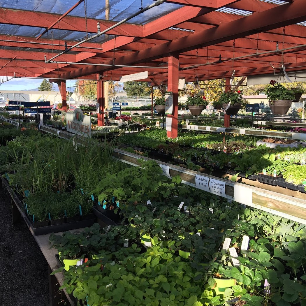 Van Winden's Garden Center 3