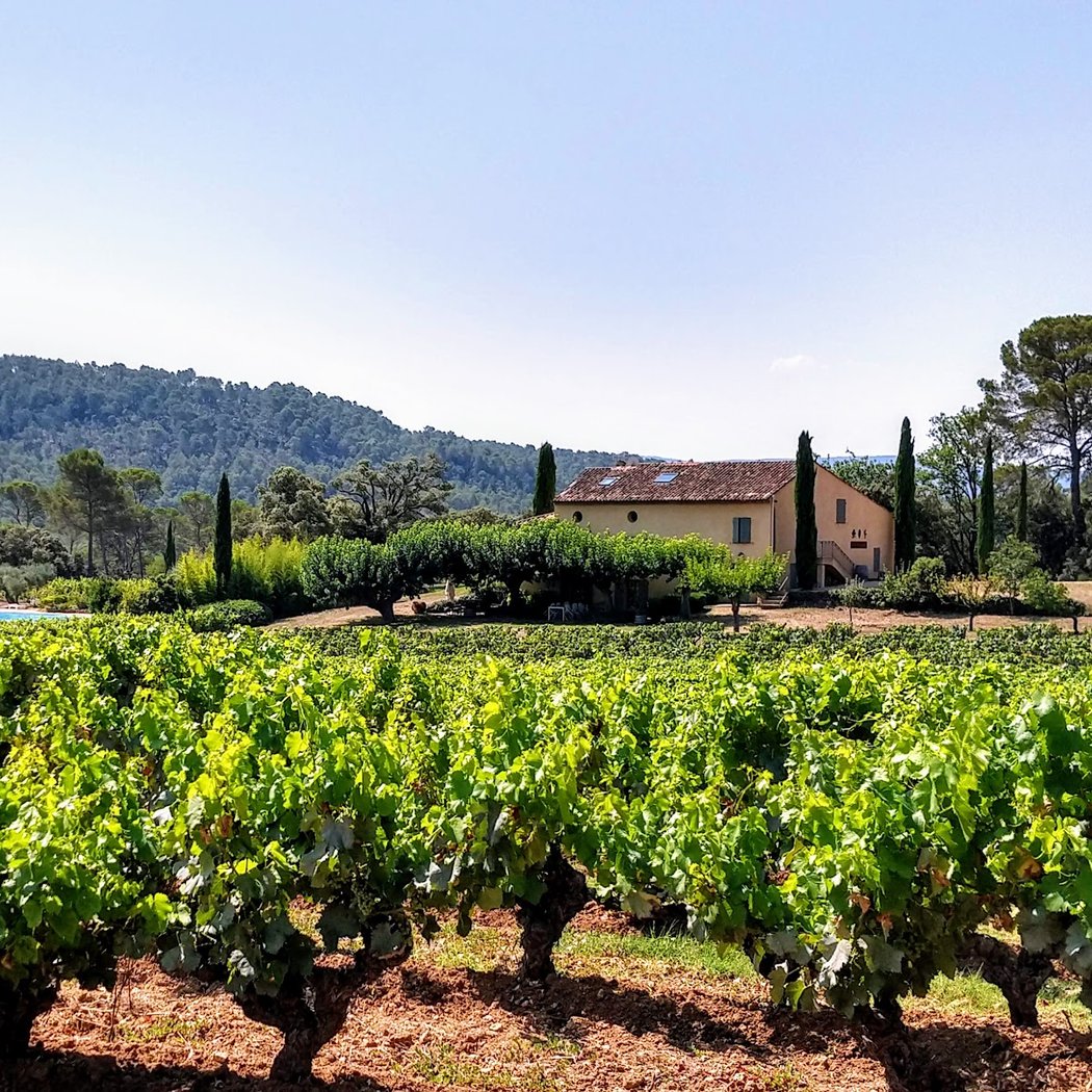 Domaine du Clos d'Alari 2