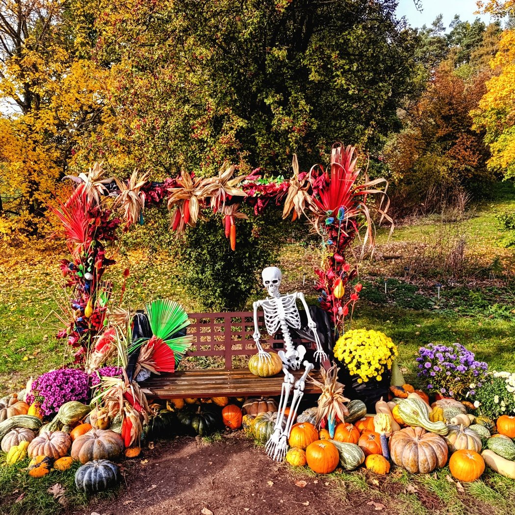 VÝSTAVA DÝNÍ: Pradávný svět – dýňová aranžmá, workshopy i oslavy Halloweenu
