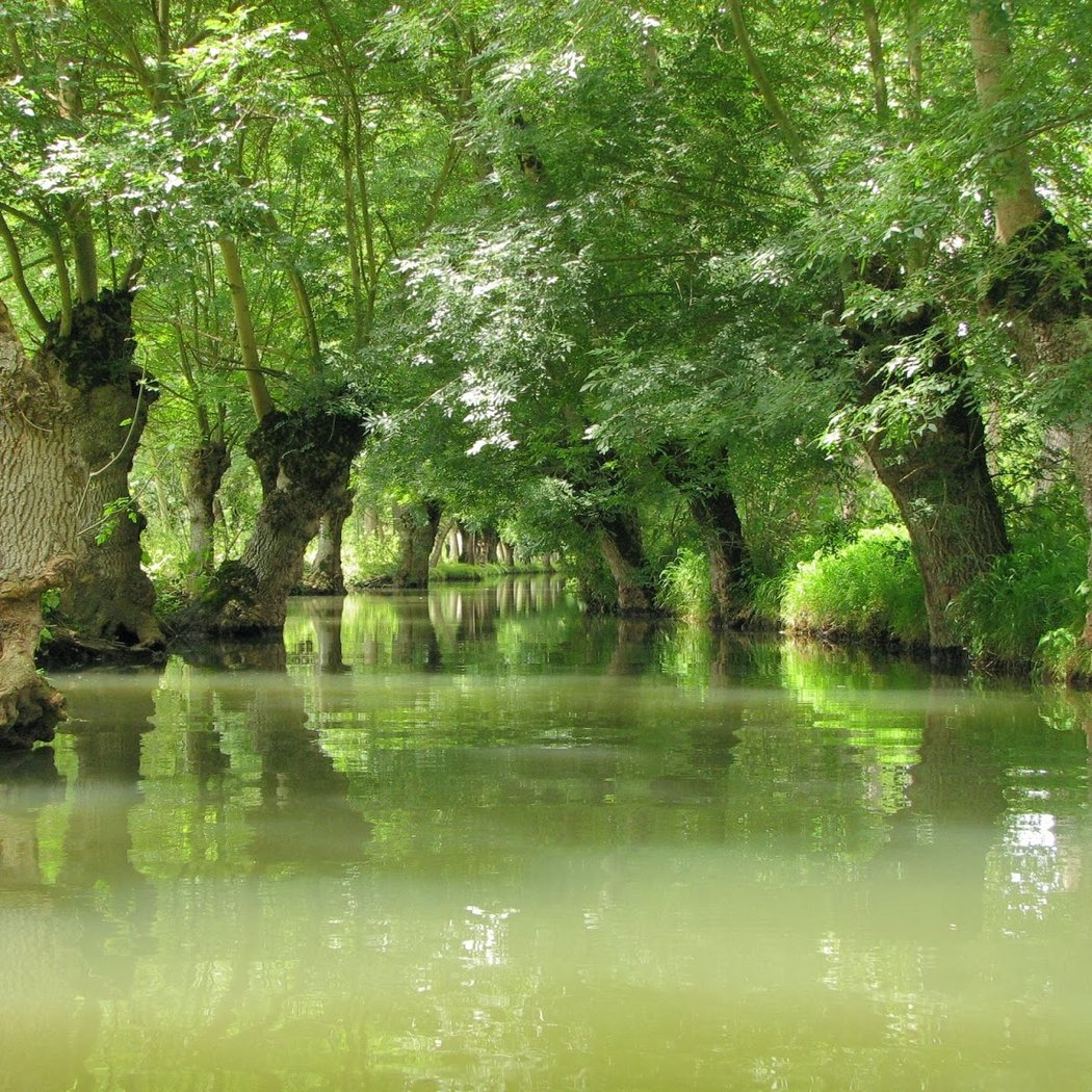 House of the Marais Poitevin 2