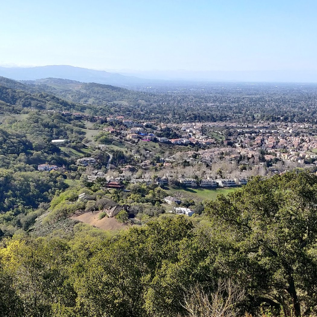 Mockingbird Hill Picnic Area 3