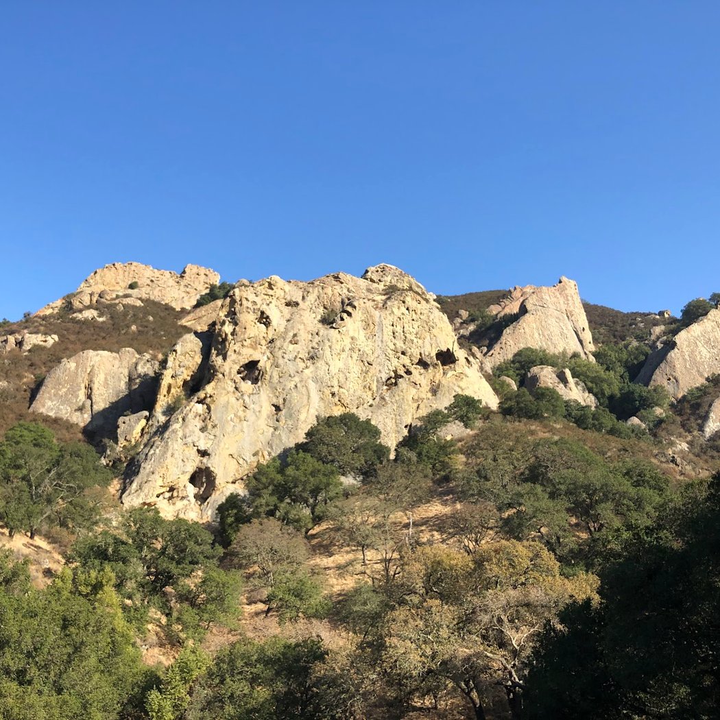 Pine Canyon 2