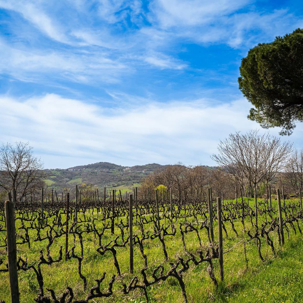 I Favati (Campania) 2