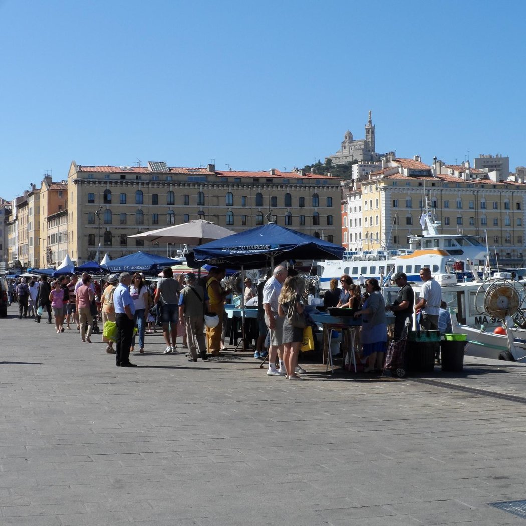 Morning Fish Market 4