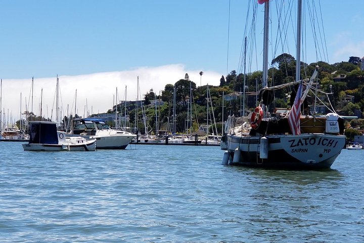 Combo Tour: Muir Woods, Sausalito and Sonoma Wine Country Tour 3