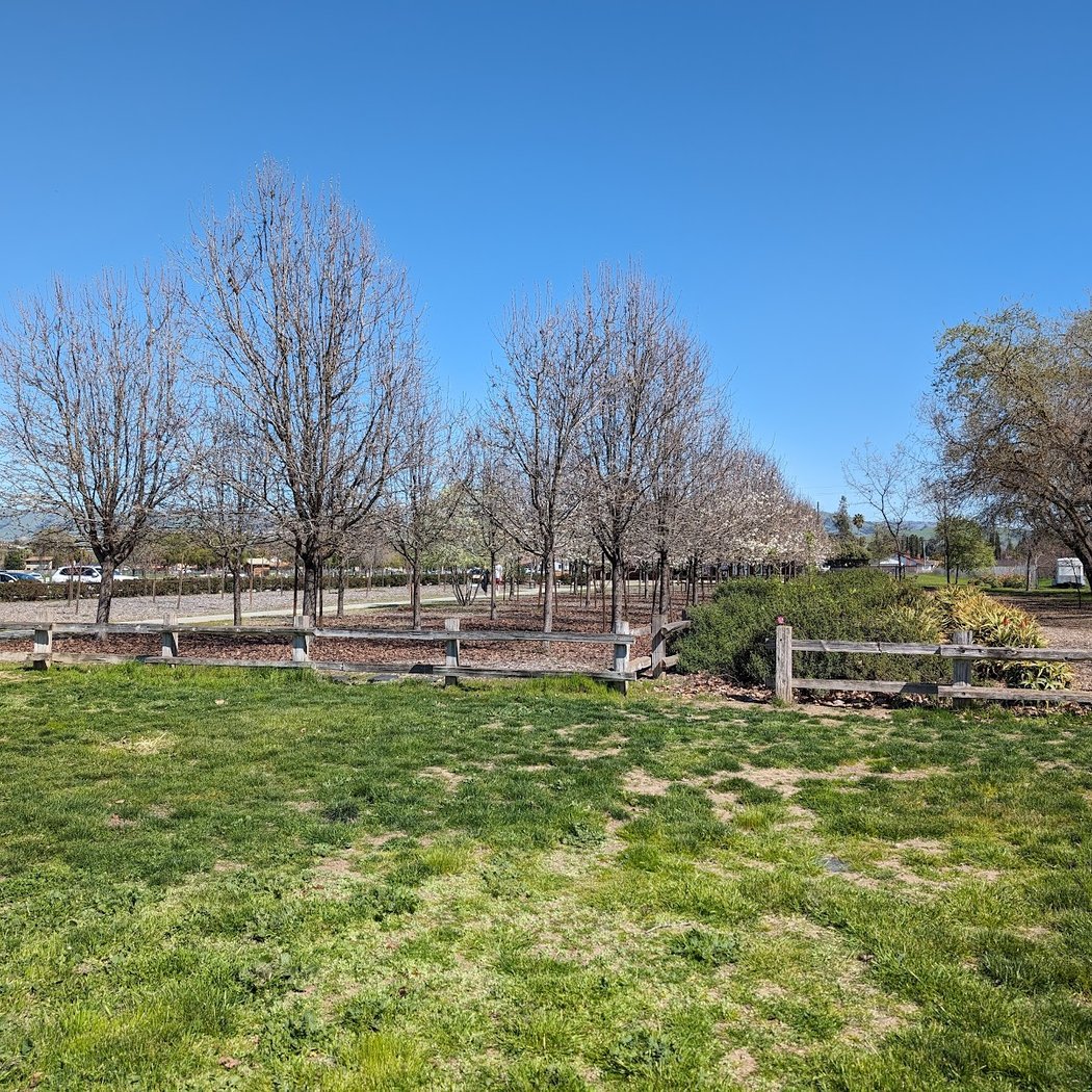 MCP Winter Fruit Tree Pruning 1