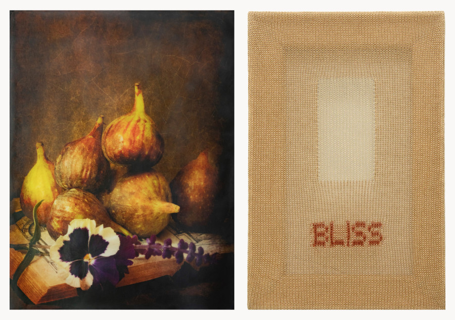 Artist Reception with Brigitte Carnochan 1