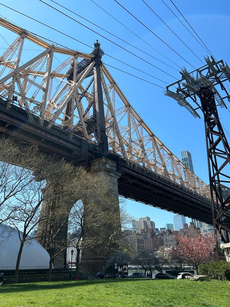 Roosevelt Island 1