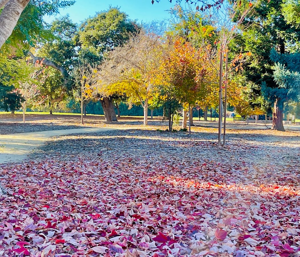 Jennings Pavilion 1