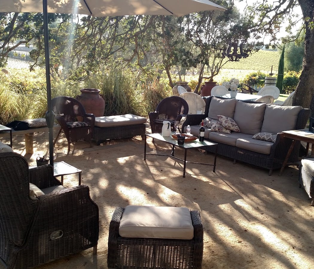 Black Cat Vineyard 2
