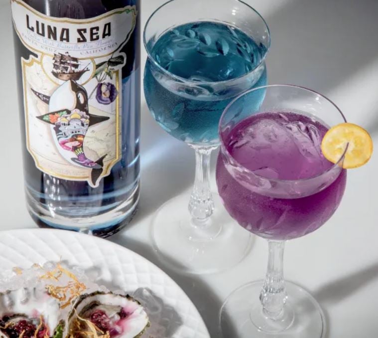 Luna Sea Lounge 1