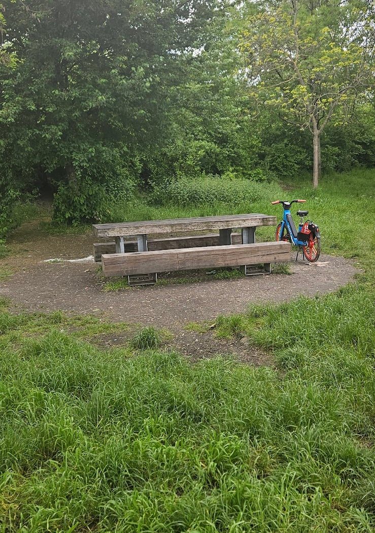 Berges de Seine 3