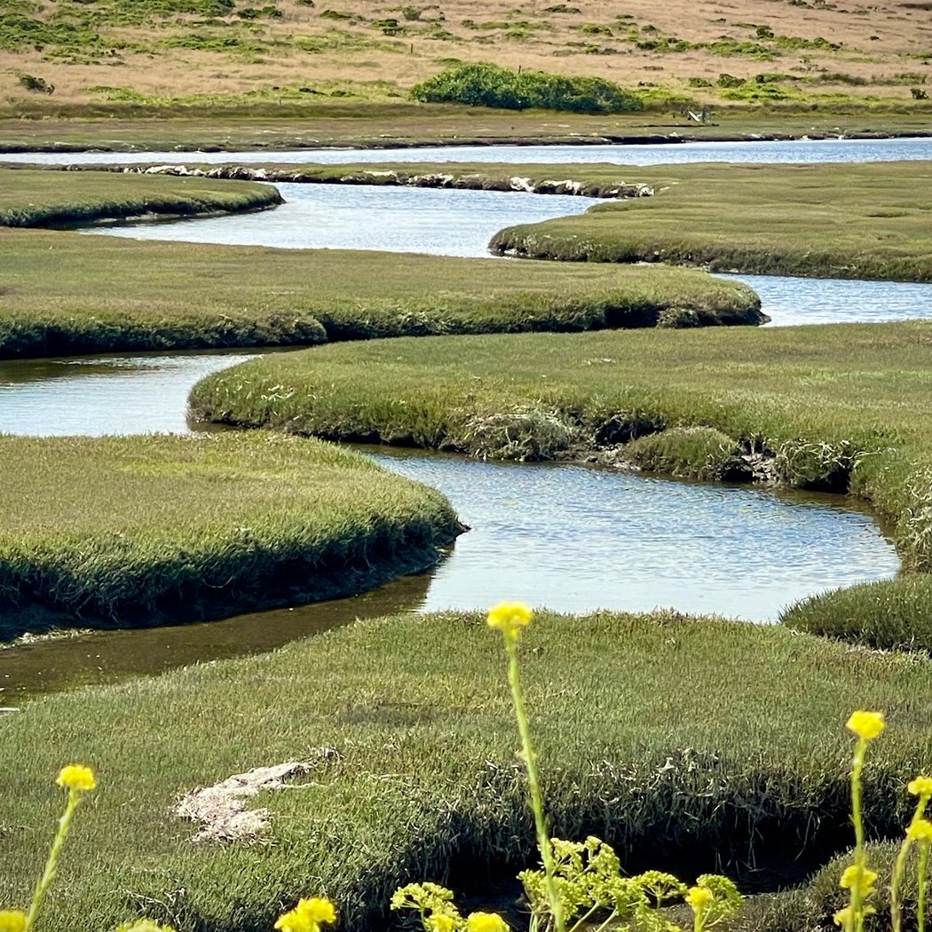 Drakes Estero 1