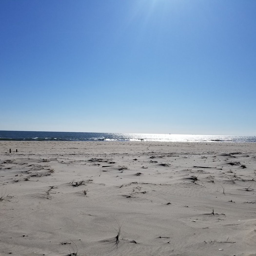 Cupsogue Beach County Park 3
