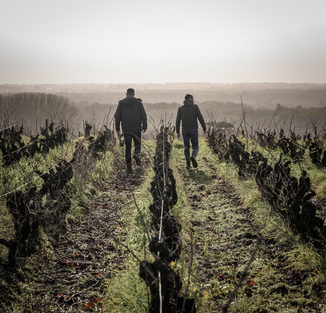 Salons professionnels dédiés aux professionnels du vin 1