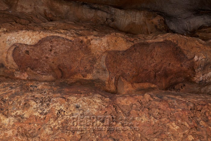 Grotte de Font-de-Gaume 1
