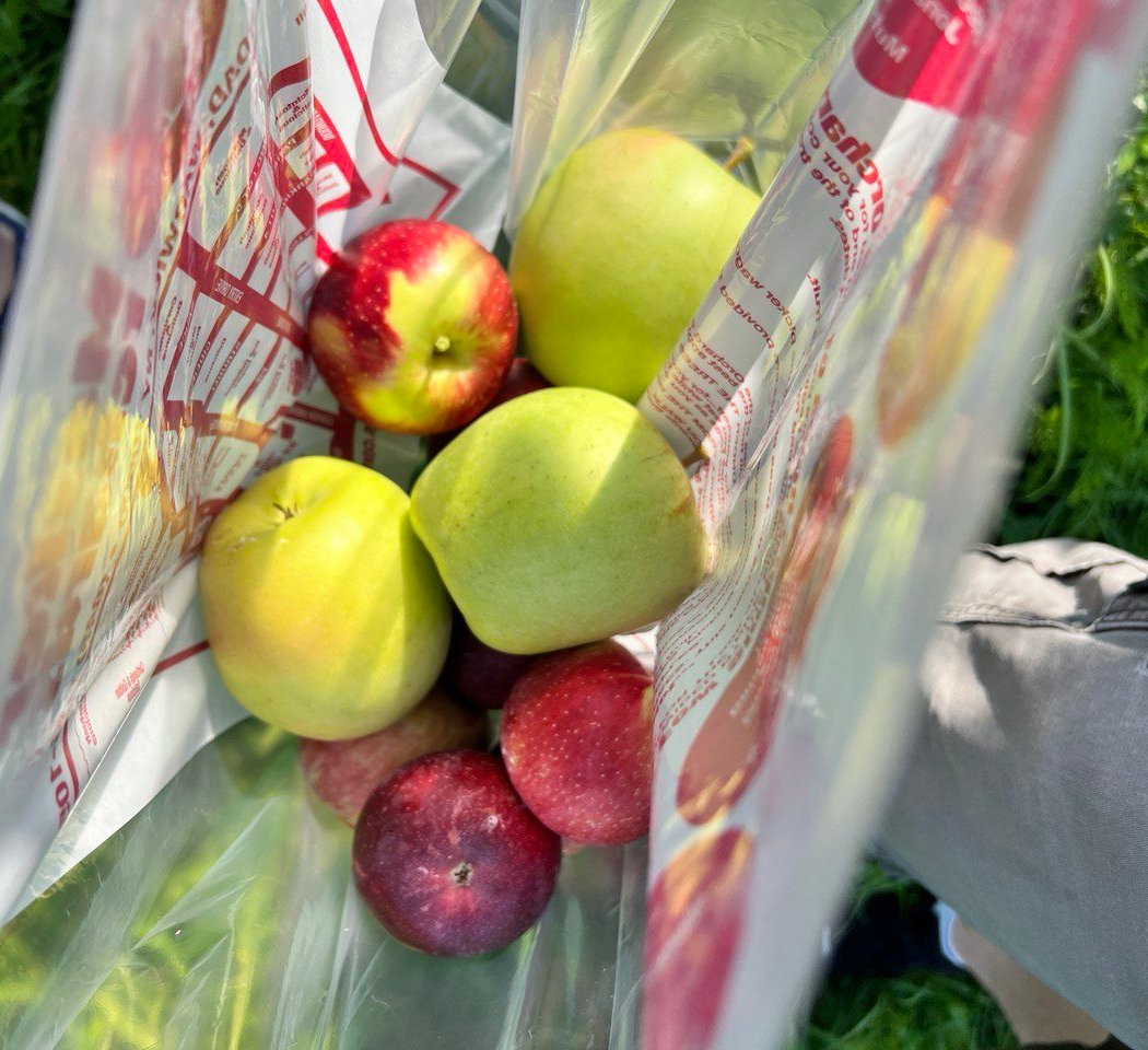Masker Orchards 3